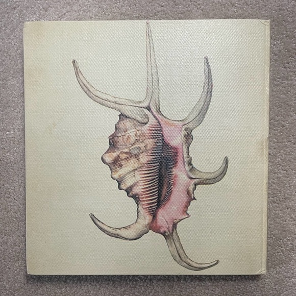 Shells Pleasures & Treasures First Edition Book with Slip Cover - Picture 3 of 13